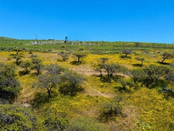 Venta / Terreno / San Antonio