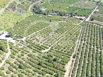 Terreno Agricola en venta en Santa victoria - mallarauco, Melipilla