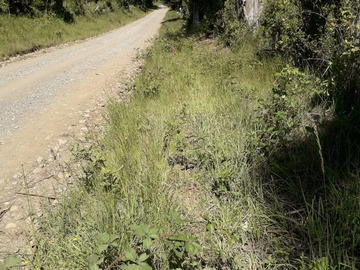 Terreno en venta en Liumalla Ruta s-797, Villarrica