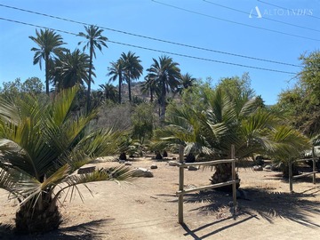 Sitio en venta en Oasis de la campana, Hijuelas