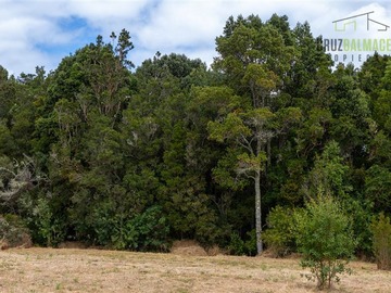 Parcela en venta en fundo las cumbres, Puerto Varas