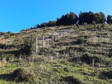 Parcela en venta en Paildad, Queilén
