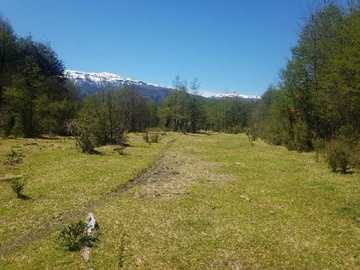 Terreno en venta en 297 há con extensa orilla Río Ibañez (66807), Río Ibáñez
