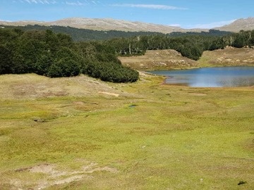 Terreno en venta en Terreno 295 hás rio Maqui y laguna (66810), Chile Chico