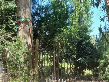 Terreno en venta en Parcela con bosque de Eucaliptus (161951), Melipilla