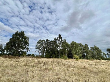 Terreno en venta en Se vende hermosa parcela camino botrolhue (171054), Temuco