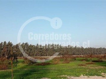 Sitio en venta en San Miguel / Santa Ester, Colina
