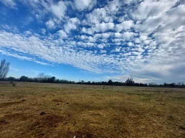Terreno Agricola en venta en 6 hectáreas con agua de riego en Longaví (135841), Longaví
