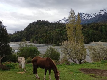 Terreno en venta en Bahía Murta – Coyhaique, Coyhaique