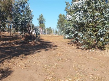 Venta / Parcela / Talca