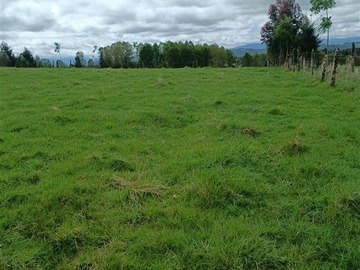 Parcela en venta en La luma con lipingue, Los Lagos