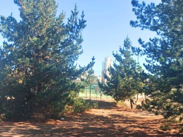 Terreno en arriendo mensual en Los Pinos/Reñaca Bajo/Viña del Mar (178500), Viña del Mar
