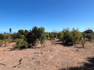 Terreno en venta en Lomas de Mantagua hermoso terreno (179202), Quintero