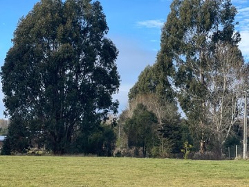 Parcela en venta en Panguilelfun, Panguipulli