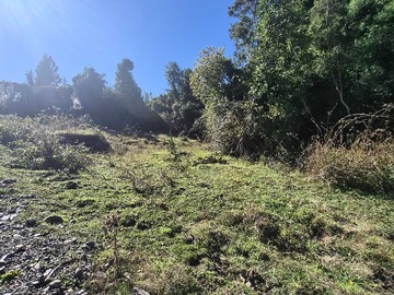 Venta / Terreno / Río Bueno