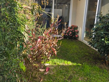 Venta / Casa / San Pedro de la Paz