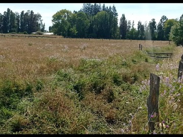 Terreno en venta en Parcela con agua y rol propio en San Gregorio (116384), Ñiquén