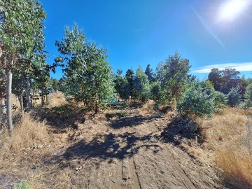 Parcela en venta en Camino a las trancas km 6 interior, Los Ángeles