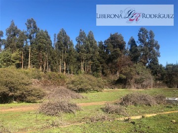 Venta / Parcela / Quintero