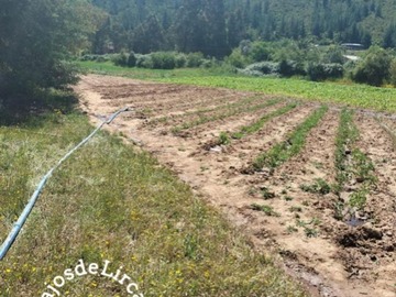 Terreno Agricola en venta en Batuco, comuna de Pencahue, Pencahue