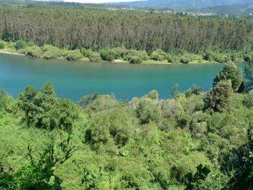 Terreno en venta en Planta Prolesur Los Lagos, Los Lagos