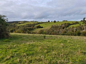 Terreno en venta en Campo de 3 há subdividido en 6 lotes (143214), Maullín