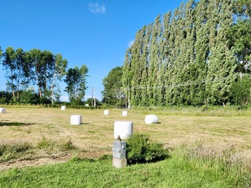 Terreno en venta en Parcela, ruta 215. Lomas del Bosque (73404), Osorno