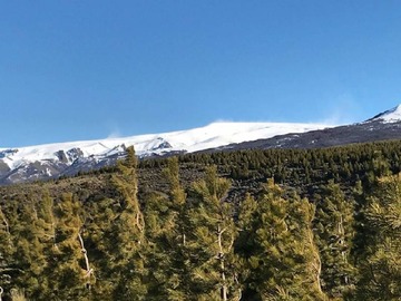 Venta / Parcela / Río Ibáñez
