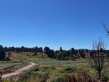 Terreno en venta en Parcelas Ranquil Ñipas sector vega las concha (82757), Ránquil