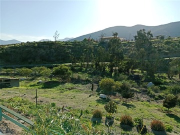 Casa en venta en Sector la estrella camino al valle del elqui, La Serena - 3 dormitorios, 1 baño