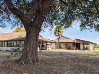 Terreno Agricola en venta en sector El Durazno, Estación Villa Alegre, comuna de Villa Alegre, Villa Alegre