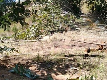 Parcela en venta en Paredones, Paredones