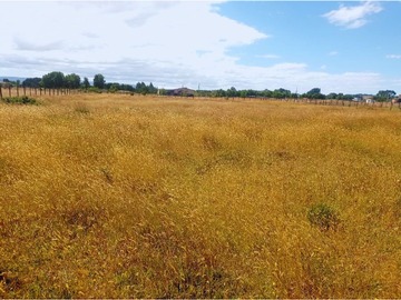 Parcela en venta en Quilquico, Castro