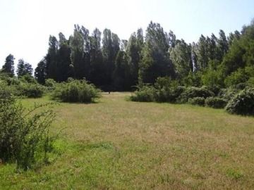 Terreno Agricola en venta en Cabrero - Bio Bio, Cabrero