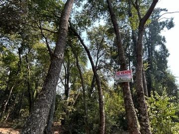 Terreno en venta en Vilches, San Clemente