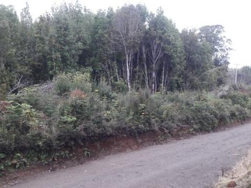 Sitio en venta en Quellon - isla cailin, Quellón