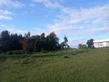 Parcela en venta en puyan, Castro