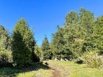 Venta / Sitio / Osorno