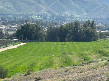 Terreno en venta en Las compañias de vicuña, Vicuña