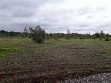 Parcela en venta en Fundo San Sebastián Vista Hermosa, Los Ángeles
