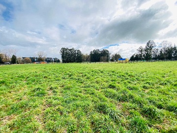 Terreno en venta en Parcela, fundo los maitenes de tacamó (116134), Osorno