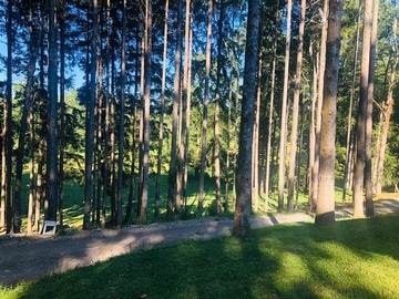 Sitio en venta en Camino villarrica - loncohe, Villarrica