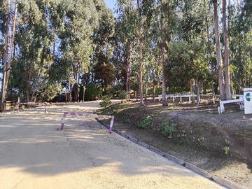 Venta / Terreno / Puchuncaví