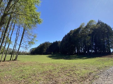 Parcela en venta en Villarrica, Villarrica