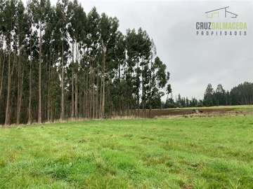 Parcela en venta en Parcelacion Brisas de Puerto Varas, Puerto Varas