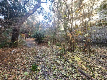 Venta / Casa / Ñuñoa