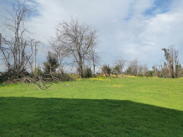 Parcela en venta en Camino los patos, - San Ramon, Talca