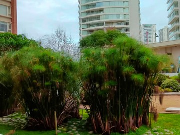 Departamento en venta en Vermar Propiedades Vende Costa de Montemar Concón - 2 dormitorios, 2 baños