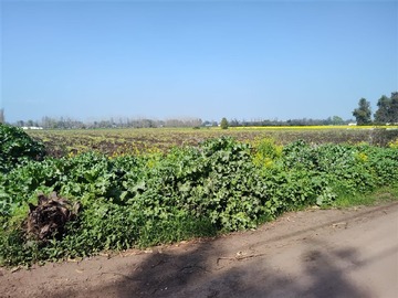 Terreno Agricola en venta en Calle Las Mercedes / Liray, Colina