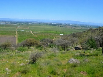 Parcela en venta en Exclusiva Parcela de 5.000 M en Cerro Cristal, Zapallar Curicó